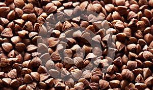 Dry buckwheat background