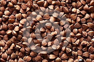 Dry buckwheat background