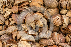 Close up of dry coconut shell and fiber. Bunch of raw brown coconut coir