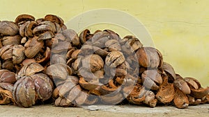 Close up of dry coconut shell and fiber. Bunch of raw brown coconut coir