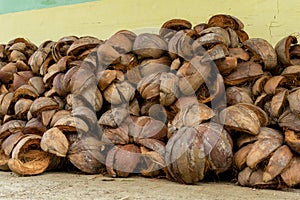 Close up of dry coconut shell and fiber. Bunch of raw brown coconut coir