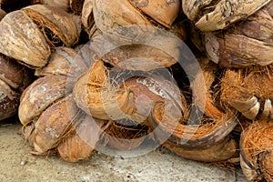 Close up of dry coconut shell and fiber. Bunch of raw brown coconut coir