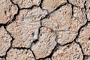 Close-up of dry cracked soil texture in arid area due to lack of water amid global warming. Concept of environmental