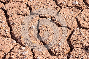 Close-up of dry cracked soil texture in arid area due to lack of water amid global warming. Concept of environmental
