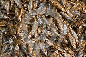 Close-up on dry fish in a nepali market, Kathmandu, Nepal