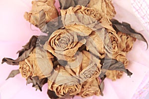 close up dry rose bouquet