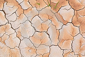 close-up of dry soil in arid climate. Cracked ground in a desert