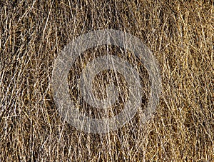 Close up dry straw texture background.