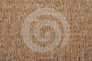 Close up dry straw texture wall background.