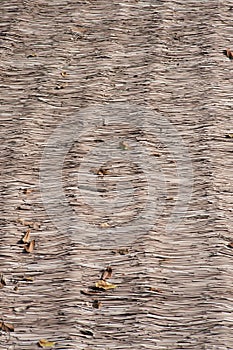 Close up dry straw thatch roof of traditional Thai house.