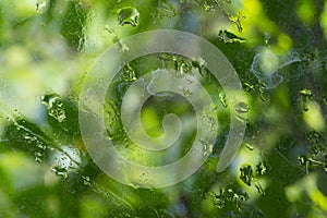 Close up dry water stains on the glass window, water drops of rain on a window glass