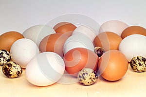 Close up duck egg and quail eggs on white Background