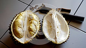 Close up durian on the table