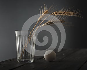 Close up of ears of wheat in glass next to egg on rustic wooden table.