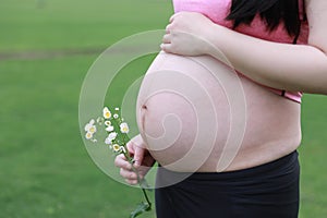 Close-up of Eastern Asian Chiense pregnant woman`s belly, flowers on belly, grass meadows as background in nature outdoor healthy