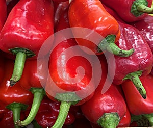Close Up of Ecologicaly Grown Red Paprika photo