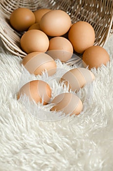 Close up eggs in old basket on white wool