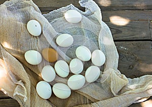 Close up of eggs in sieve, top view of eggs on gauze. Chicken Egg. Hen eggs basket