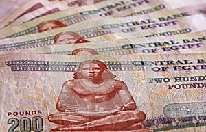 Close up of Egyptian pounds