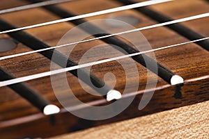 close-up of an electric guitar neck with wood frets and strings. Music background