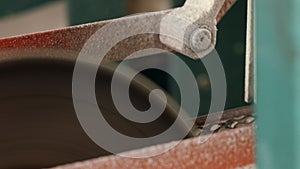 Close up of electric saw sawing wooden board on automated line at sawmill