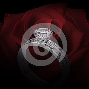 Close up of elegant diamond ring on background of beautiful red rose
