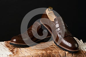 Close-up of elegant mens brown shoes. Men`s fashion shoes