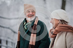 Close-up of elegant senior man walking with his wife in the snowy park.