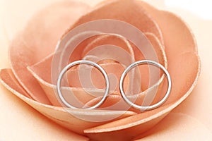 Silver pair ring inside rose