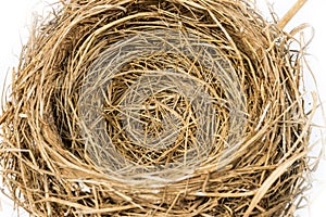 Close up of an Empty Nest. Focus in the Center of Nest.