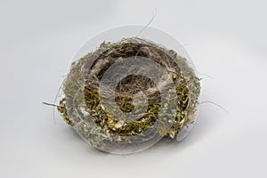 Close-up empty nest isolated on white background. Bird home. Top view. Consists of dry hay, blade of grass and feathers of birds.