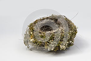 Close-up empty nest isolated on white background. Bird home. Top view. Consists of dry hay, blade of grass and feathers of birds. photo