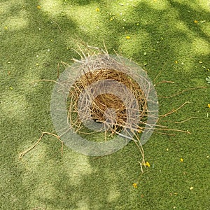 a close-up of empty nest lying on the floor