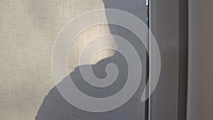 Close-up of entrance door with male silhouette knocking. Female caucasian hand opening curtain, bearded detective
