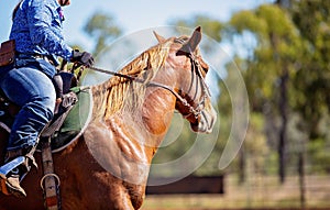 Close Up Of Equestrian And Horse In Barrel Racing Competition