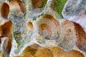 Close up erosion holes of sandstone rock