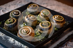 Close-up of Escargots, elegantly presented on a bed of rock salt with garlic butter and a sprinkle of parmesan cheese