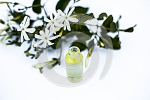 Close up of essence or essential oil of Indian jasmine flower or juhi or Jasminum Auriculatum isolated on white in a small transpa photo