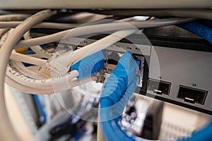 Close-up of Ethernet cable pluged on network switch, UTP cabling and computer network