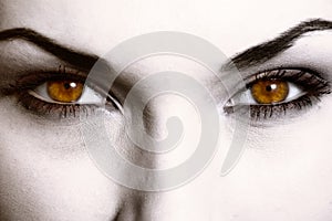 Close up of evil look