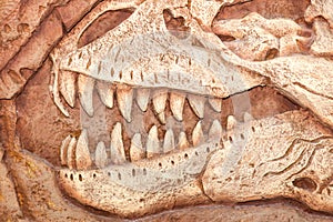Close up of Excavating dinosaur fossils