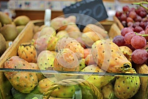 Close-up of exotic fruit called tunas or prickly pear