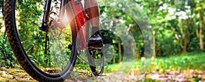 Close-up of Extreme Mountain Biking, Cyclist ride on MTB trails in the Green Forest with Mountain Bike, Outdoor sports activity