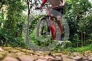 Close-up of Extreme Mountain Biking, Cyclist ride on MTB trails in the Green Forest with Mountain Bike, Outdoor sports activity