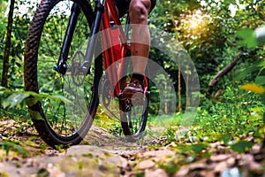 Close-up of Extreme Mountain Biking, Cyclist ride on MTB trails in the Green Forest with Mountain Bike, Outdoor sports activity