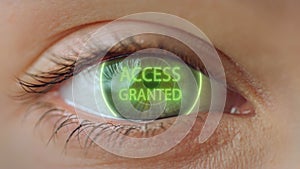 Close up eye access system analysing biometrics granting connection concept