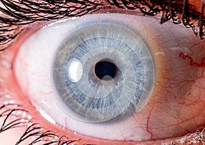 close up eye. close up Iris. very Close macro shot of an eyeball. blue and white shallow crater