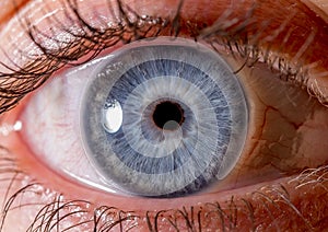 close up eye. close up Iris. very Close macro shot of an eyeball. dark blue