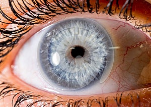 close up eye. close up Iris. very Close macro shot of an eyeball. dark blue and white