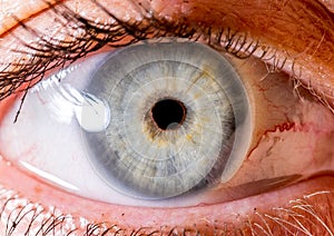 close up eye. close up Iris. very Close macro shot of an eyeball. pale green and yellow